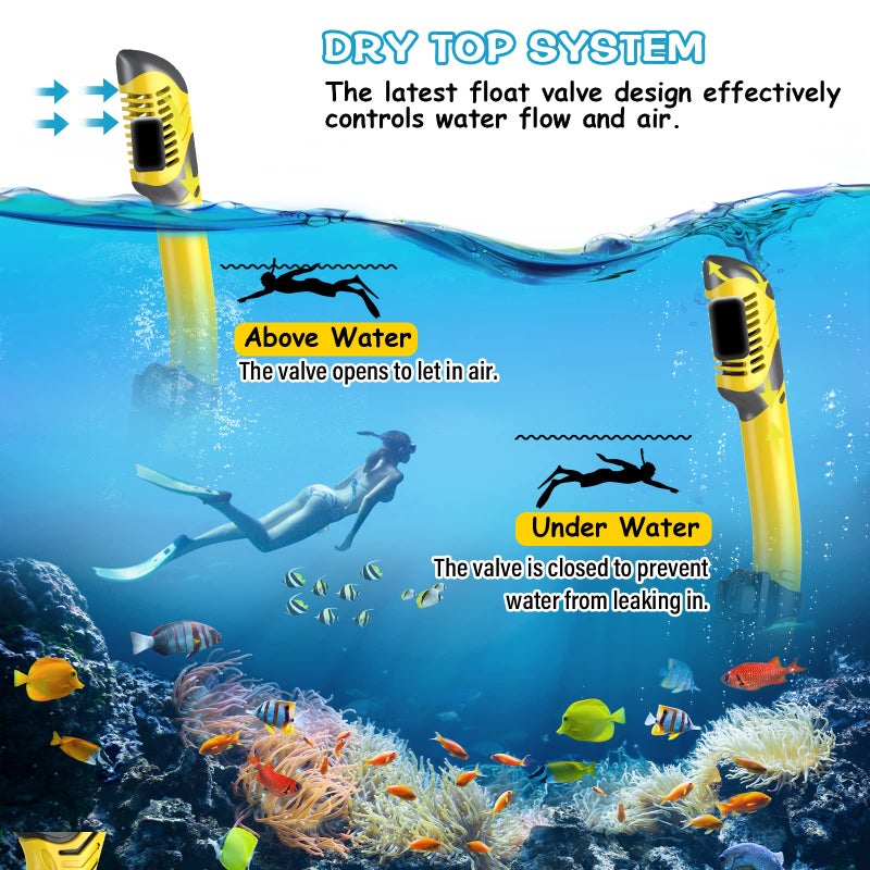 Greatever Dry Snorkel Set,Panoramic Wide View,Anti-Fog Scuba Diving Mask,Professional Snorkeling Gear for Adults - Image 4